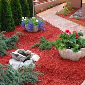 Színes vörös mulcs fenyődarabokkal - kép 2