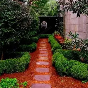 Színes vörös mulcs fenyődarabokkal - kép 5