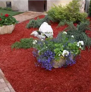 Színes vörös mulcs fenyődarabokkal - kép 3