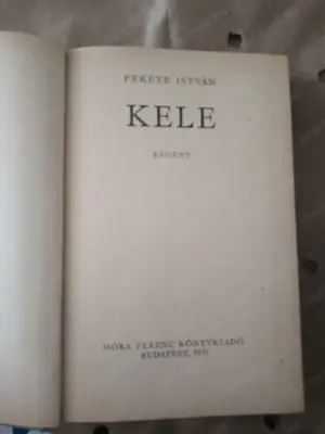 Egy nem hivatalos Minecraft regény 5000ft db óbuda Az endermanek inváziója - Egy nem hivatalos Minec - kép 3