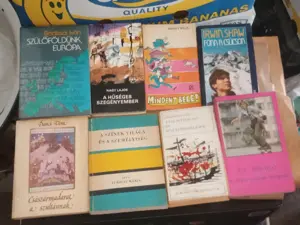 Egy nem hivatalos Minecraft regény 5000ft db óbuda Az endermanek inváziója - Egy nem hivatalos Minec - kép 8