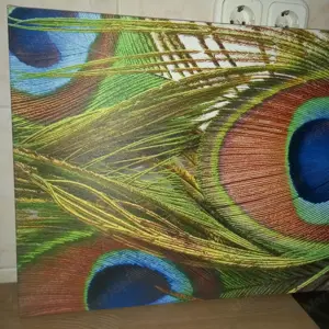 Páva toll mintás vászonkép eladó - kép 3