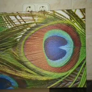 Páva toll mintás vászonkép eladó - kép 7