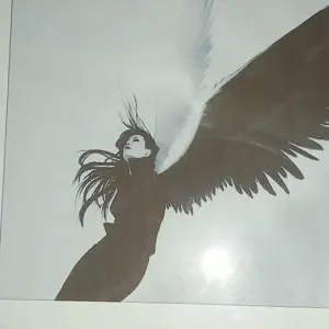 Fekete- fehér angyal kép eladó - kép 6