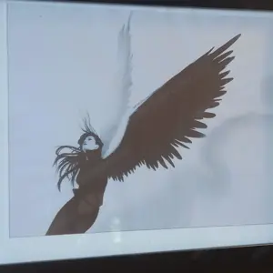 Fekete- fehér angyal kép eladó - kép 2