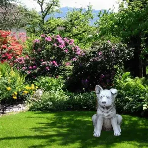 Kajla fülű német juhász kutyus szobor - kép 3