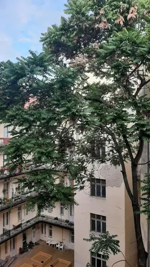 Újlipótvárosban eladó 2 bejáratos, 2 önálló ingatlanként működő, 100 nm lakás a Hollán E. utcában.