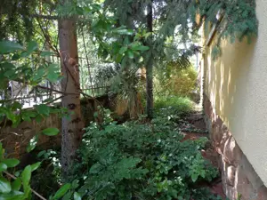 Budapest XVIII. Pestszentlőrinc kertvárosi családi ház eladó - kép 13