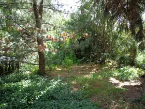 Budapest XVIII. Pestszentlőrinc kertvárosi családi ház eladó - kép 3