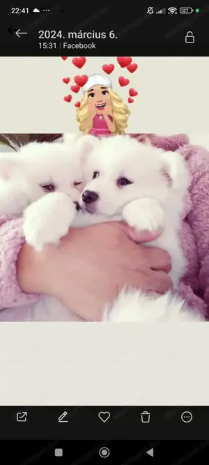 Spicc fiúk gazdisodnának