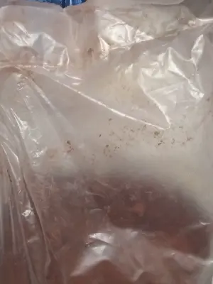 ömlesztett kimért Kakaópor  Eredeti Holland 22-24% 250gr 2500ft óbuda személyes átvétel óbudán lakci - kép 3