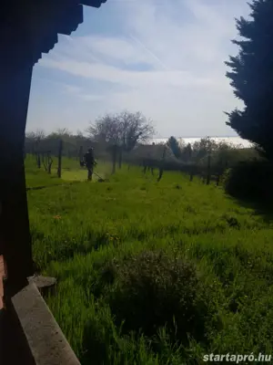 Fűkaszálás  - kép 2