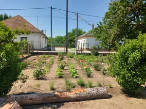 Üllőn közműves 320m2 építési telek eladó - kép 2