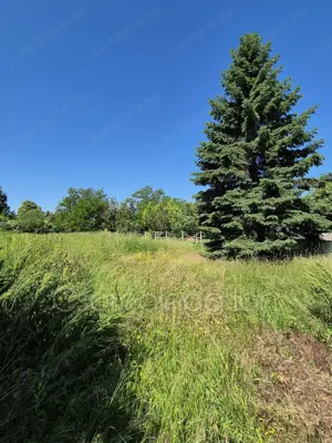 Vág - 1004 m2-es telek eladó - kép 2