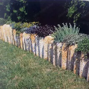 Szegélykő beültethető nagyon különleges - kép 6