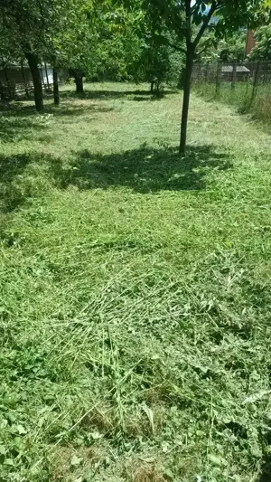 Vállalom kert,telek, telephelyek, gondozását rendezését  - kép 3