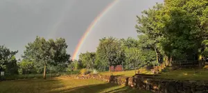 Balaton-felvidéki tanúhegyen erdős kis birtok eladó - kép 9