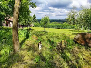 Balaton-felvidéki tanúhegyen erdős kis birtok eladó - kép 8