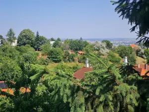 A XII. kerületben gyönyörű, panorámás építési telek eladó! - kép 2