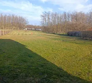 Kiskunhalason zártkerti, építési telek eladó csendes, nyugodt környezetben! - kép 4