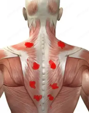 Szeged-Újrókus  -Masszázs-Lélek Masszázs  - kép 5