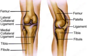 Szeged-Újrókus  -Masszázs-Lélek Masszázs  - kép 6