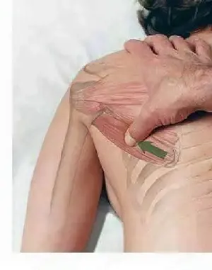 Szeged-Újrókus  -Masszázs-Lélek Masszázs  - kép 7