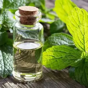 Szeged-Újrókus  -Masszázs-Lélek Masszázs  - kép 8