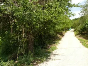 Telek eladó Esztergom-Szamárhegyen - kép 4