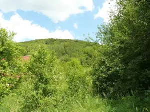 Telek eladó Esztergom-Szamárhegyen - kép 6