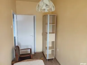 Nyíregyháza abszolút belvárosában a Szarvas utca elején - kép 2