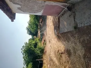 Baján elado gazdálkodásra alkalmas tanya - kép 5