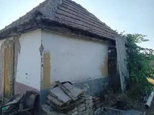 Baján elado gazdálkodásra alkalmas tanya - kép 3