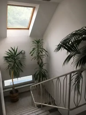 Ház eladó Vácon. ÁRZUHANÁS, áron alul! - kép 6