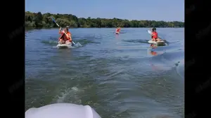 Szörfdeszkák 80'-90' es évekből - kép 6