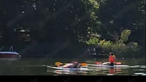 Szörfdeszkák 80'-90' es évekből - kép 9