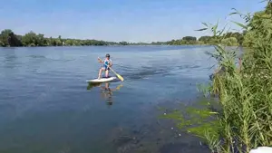 Szörfdeszkák 80'-90' es évekből - kép 11