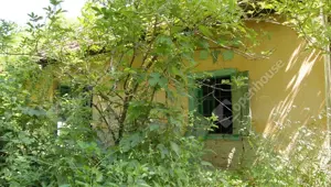 Bázakerettyén Zala vármegyében befektetésre is alkalmas zártkerti ingatlan  eladó - kép 5