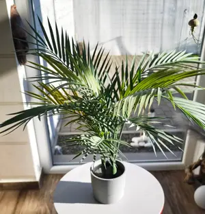 IKEA FEJKA mű növény (305.084.03) - kép 1