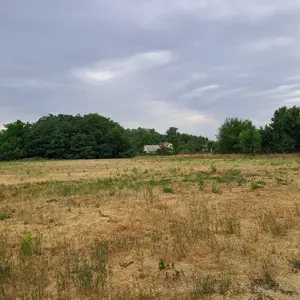  Monorierdő kertvárosában, 5500 m2-es építési telek, max. 4 lakás építhető rá