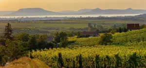 Munkalehetőség a Balatonnál szállással, szobalány, utazási költség támogatás
