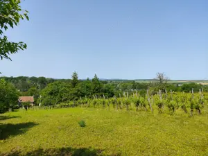 Aszfalos úton örökpanorámás 1651 nm zártkerti telek présházzal borospincével