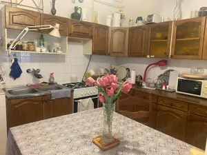 Kiskunhalas Hunyadi utcában 4 szobás, napelemes családi ház több melléképülettel! - kép 7