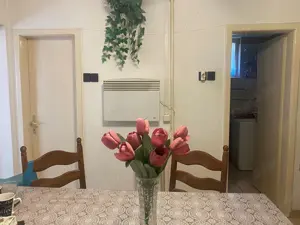 Kiskunhalas Hunyadi utcában 4 szobás, napelemes családi ház több melléképülettel! - kép 8