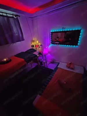 Masszázs- munka 3. ker... - kép 11