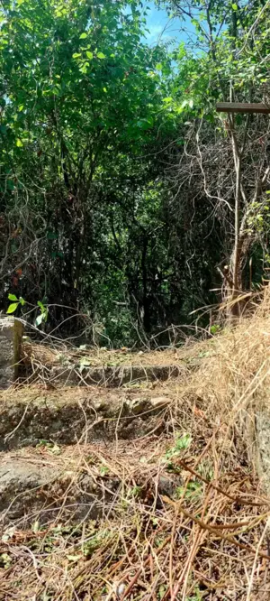 Péceli családi ház eladó szép nagy kerttel - kép 9