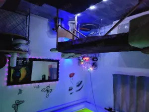 Masszőzök FIGYELEM! 3. KER. - kép 13