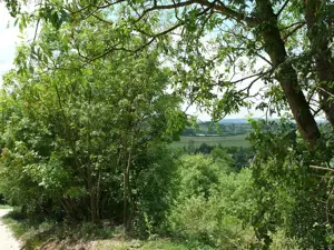 Telek eladó Esztergom-Szamárhegyen - kép 5