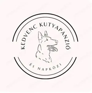 Kedvenc kutyapanzió és napközi 