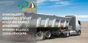 Tehergépjármű vezető